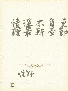 情深不负免费阅读最新章节