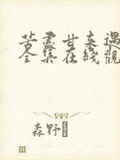 苦尽甘来遇见你全集在线观看免费