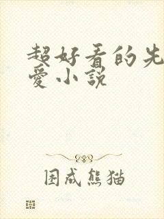 超好看的先婚后爱小说