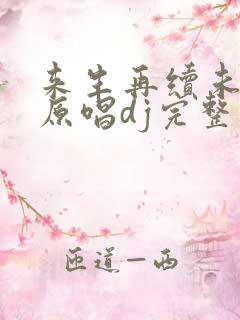 来生再续未了情原唱dj完整版