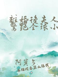 离婚后夫人携崽惊艳全球小说阅读全部