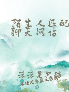 陌生人匹配匿名聊天网站