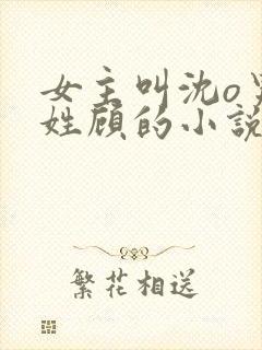 女主叫沈o男主姓顾的小说