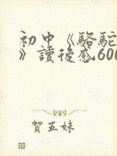 初中《骆驼祥子》读后感600字以上