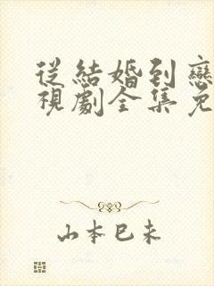 从结婚到恋爱电视剧全集免费观看