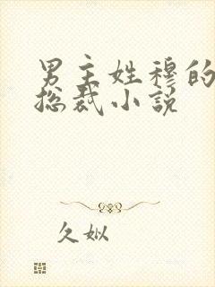 男主姓穆的霸道总裁小说