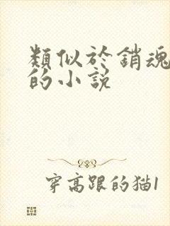 类似于销魂艳婢的小说