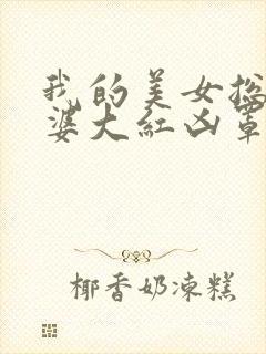 我的美女总裁老婆大红凶罩