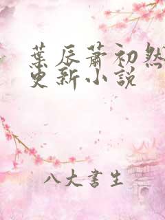 叶辰萧初然最快更新小说