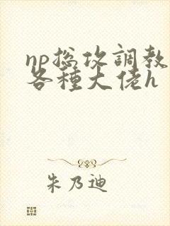 np总攻调教j各种大佬h