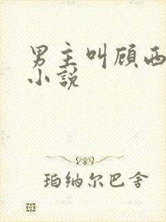 男主叫顾西辞的小说