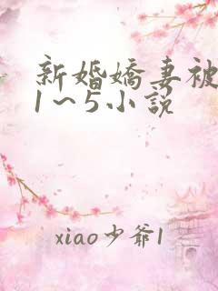新婚娇妻被黑人1～5小说
