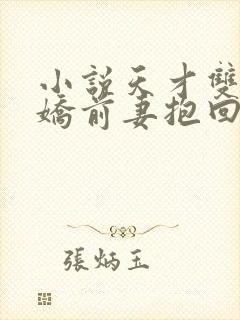 小说天才双宝傲娇前妻抱回家