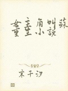 女主角叫苏禾的重生小说