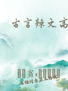 古言辣文高h