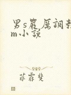 男s严厉调教女m小说