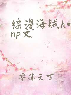 综漫海贼h啪肉np文