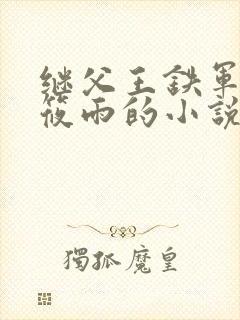 继父王铁军与王筱雨的小说在线阅读