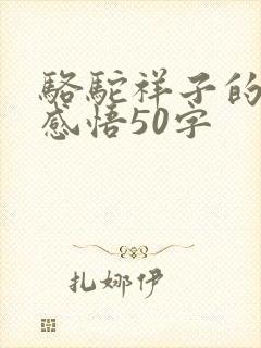 骆驼祥子的读后感悟50字