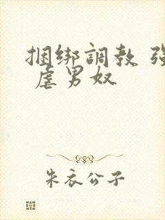 捆绑调教 强制 虐男奴