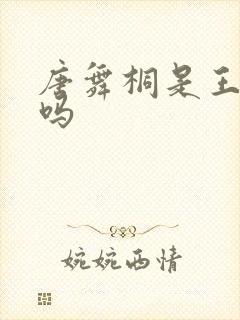 唐舞桐是王冬儿吗