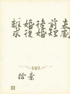 离婚后前夫哭着求复婚短剧