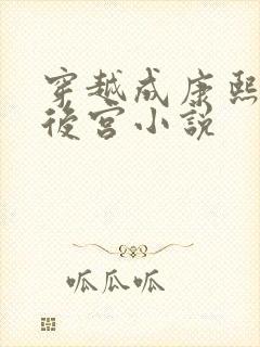 穿越成康熙猎艳后宫小说