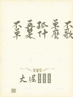 不再孤单不再孤单是什么歌词