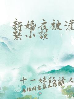 新婚夜被灌醉强系小说