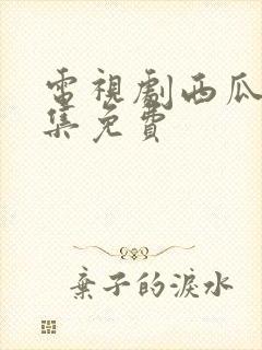 电视剧西瓜网全集免费