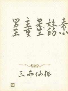 男主是姓秦的女主重生的小说