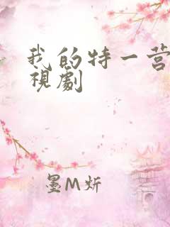 我的特一营 电视剧