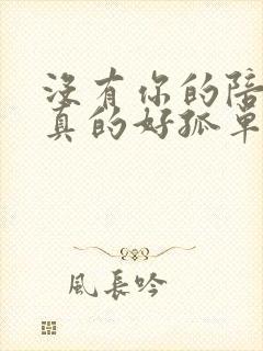 没有你的陪伴我真的好孤单伴奏