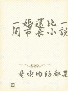 一婚还比一婚高周市长小说