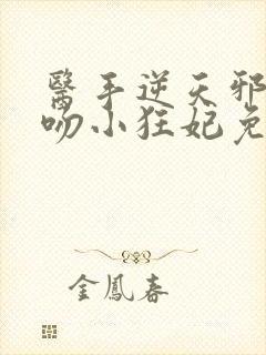 医手逆天邪王毒吻小狂妃免费阅读