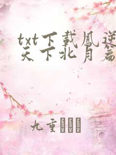 txt下载凤逆天下北月篇