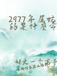 2977年属蛇的是什么命