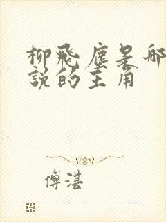 柳飞尘是哪部小说的主角