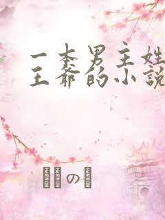 一本男主姓萧是王爷的小说
