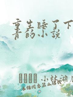 重生睡了下乡知青的小说
