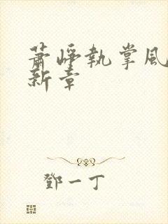 萧峥执掌风云最新章