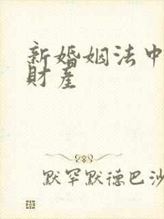 新婚姻法中婚前财产