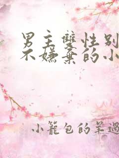 男主双性别女主不嫌弃的小说