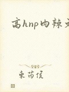 高hnp肉辣文