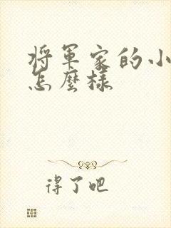 将军家的小娘子怎么样