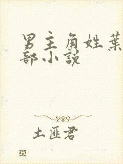 男主角姓叶的全部小说