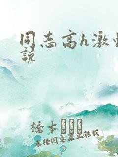 同志高h激情小说