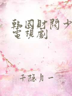 韩国财阀少爷的电视剧