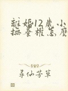 离婚12岁小孩抚养权怎么判定