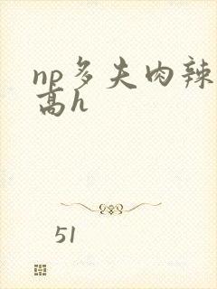 np多夫肉辣文高h
